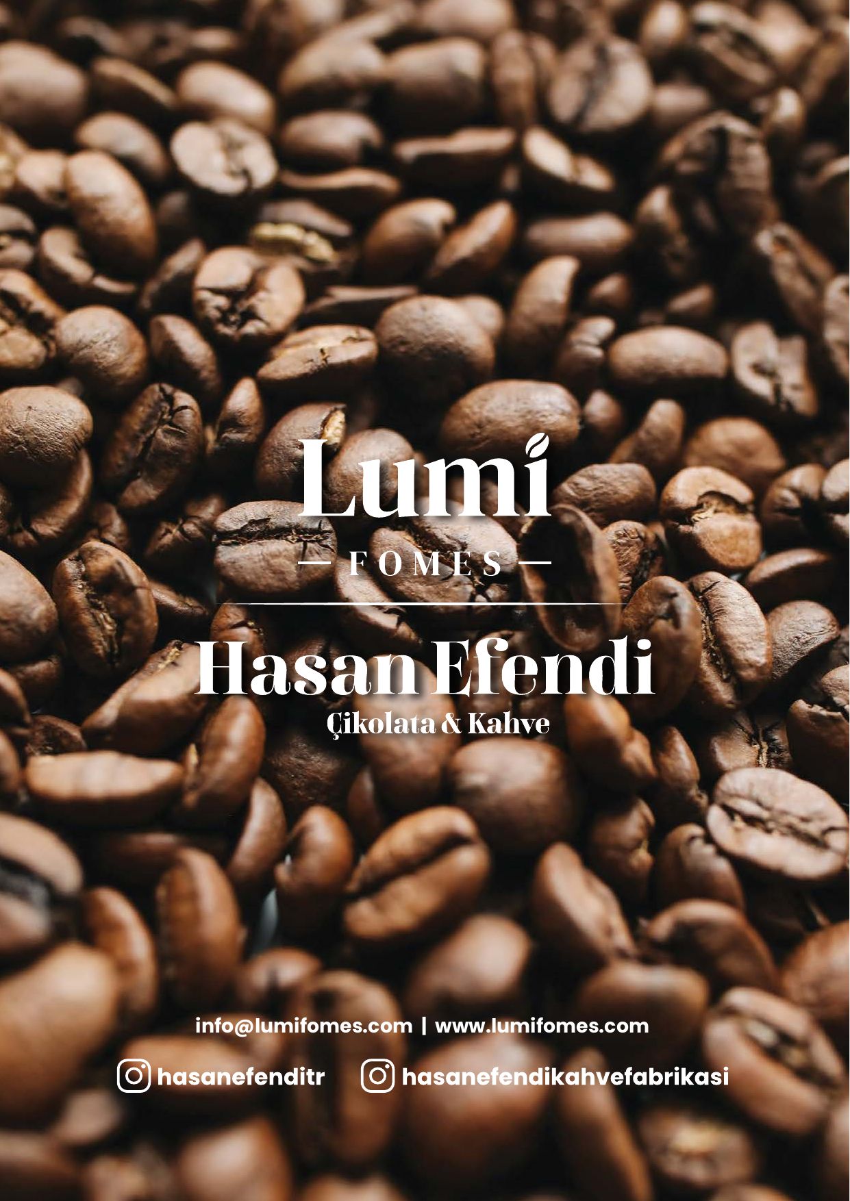 LumiFomes Katalog Sayfa 17